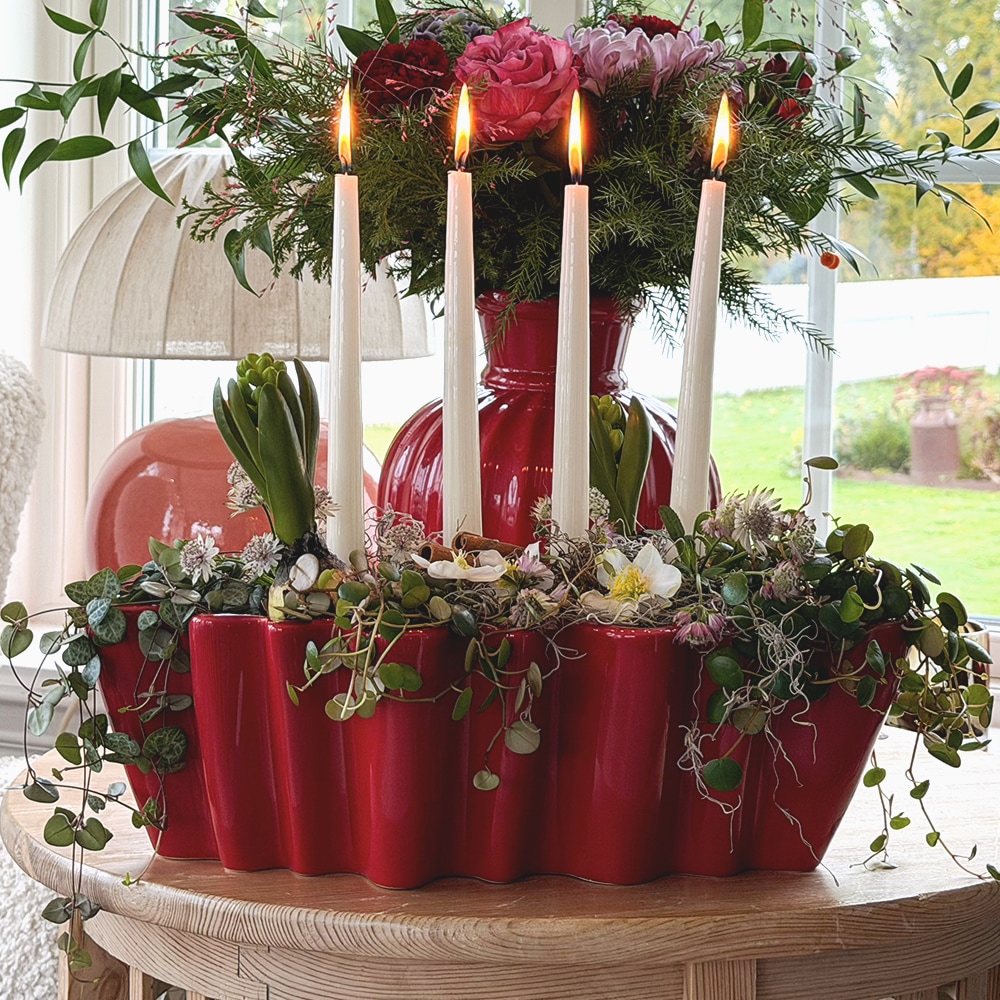 Ziggy - Decoration