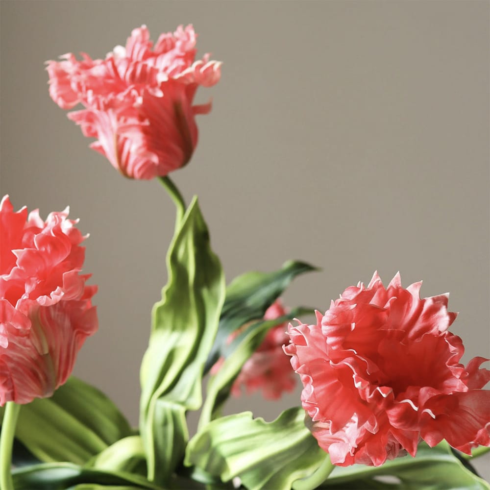Red Parrot Tulips - Bukett