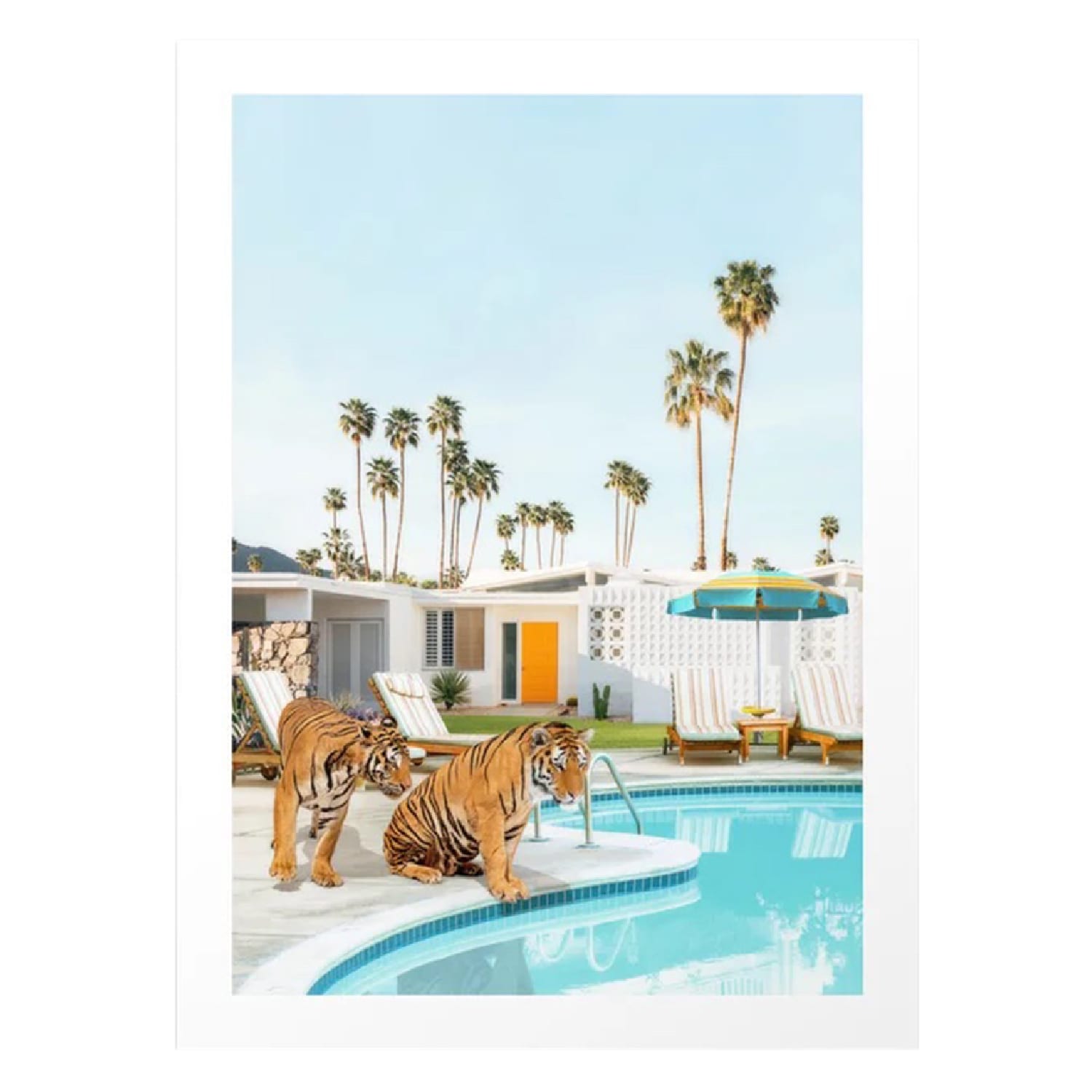 Tigers at the pool