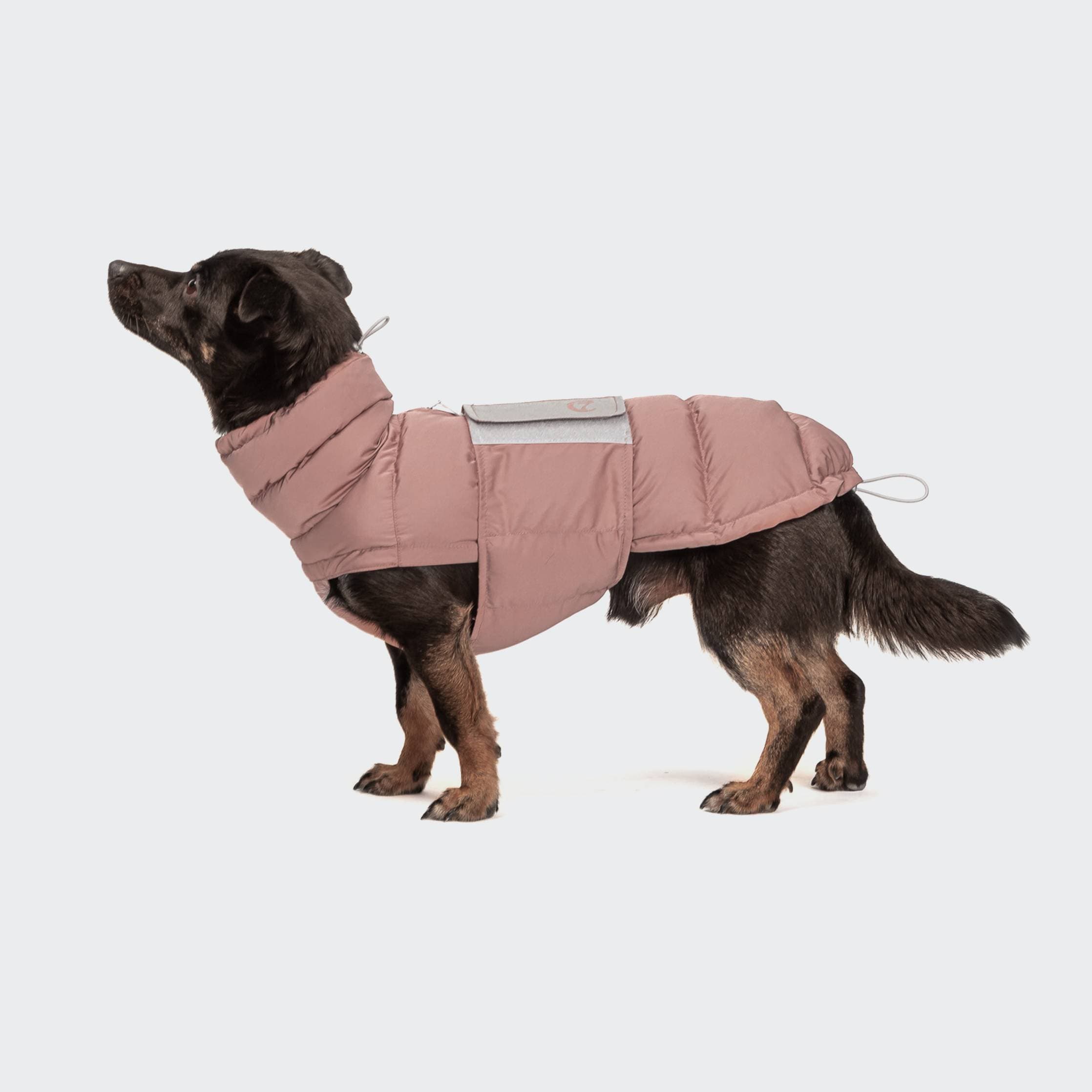 Dog Coat Alaska DACHSHUND, Dusty Rose - vintertäcke